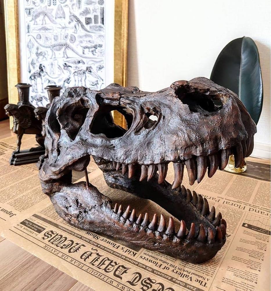 Amazon.co.jp: ティラノサウルス インテリアオブジェ 恐竜の化石