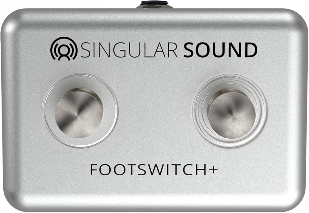 Amazon.com: Singular Sound Dual Momentary Footswitch Plus for use