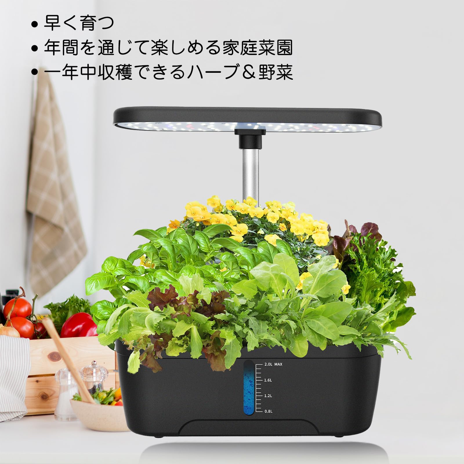 Amazon.co.jp: OUSEITECH 水耕栽培キット 家庭菜園キット 簡単 水耕
