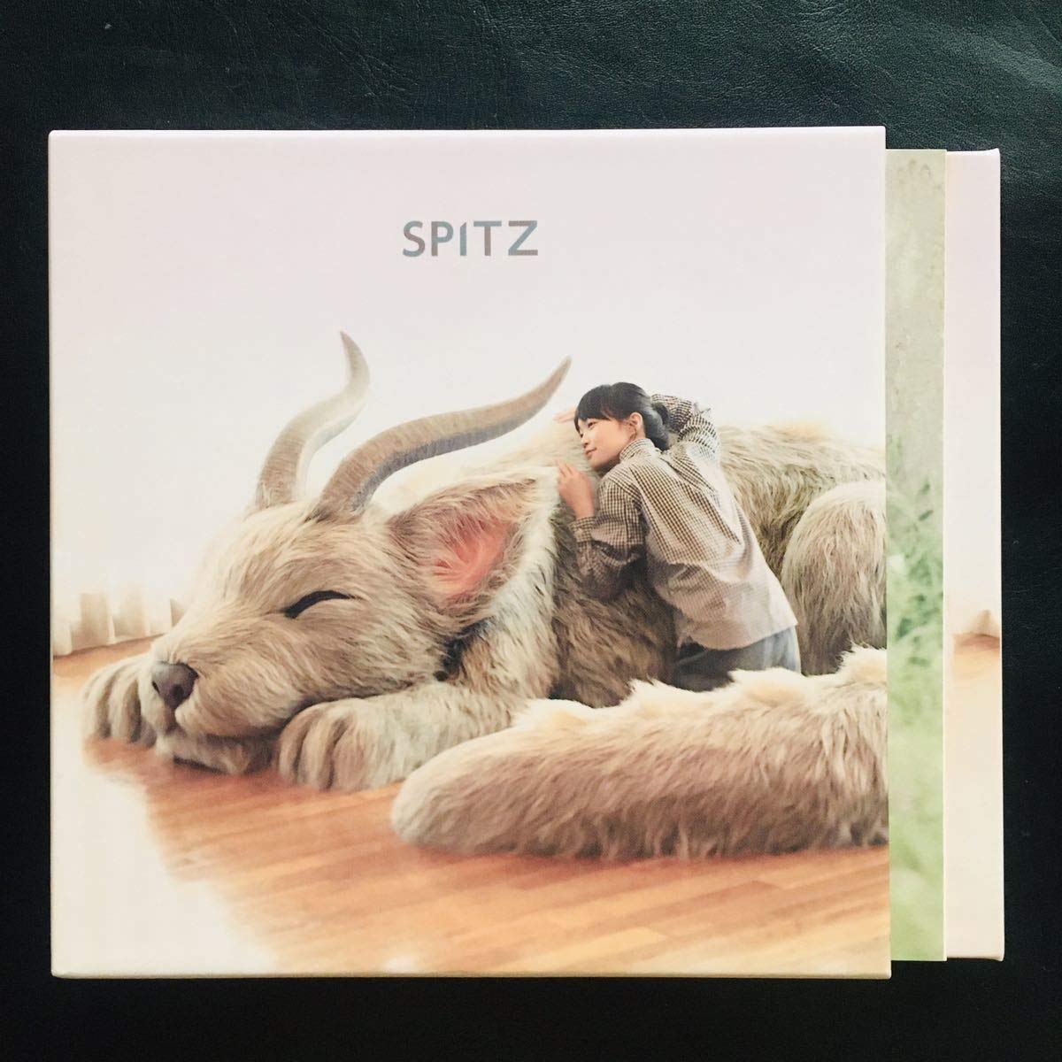 Amazon.co.jp: 【CD】スピッツ/醒めない (初回限定盤)(DVD付) Spitz