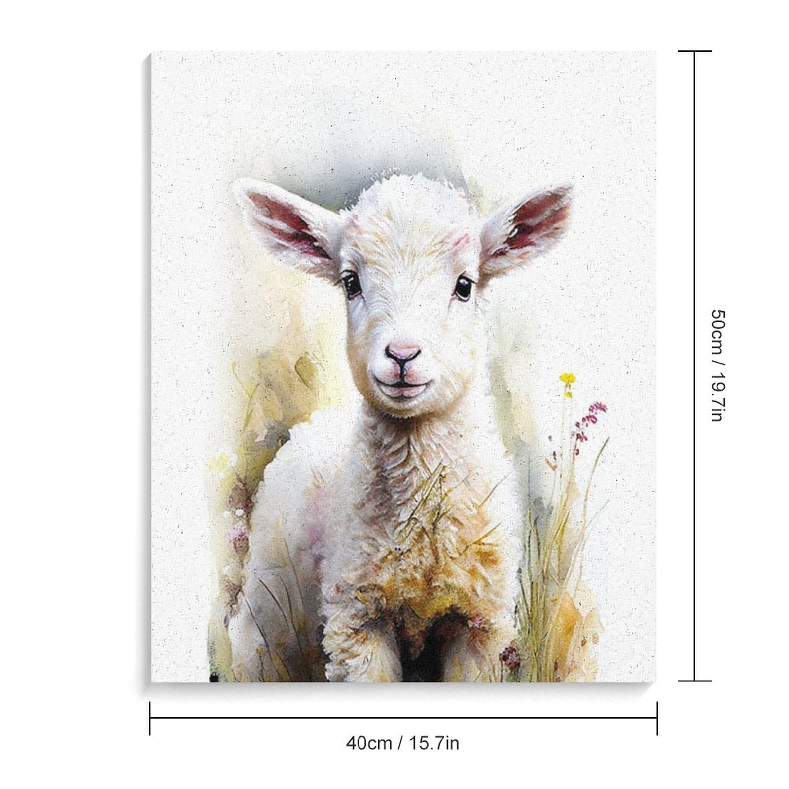 Amazon | 野原の小さな羊 数字油絵 リアルな水彩風超リアルな動物