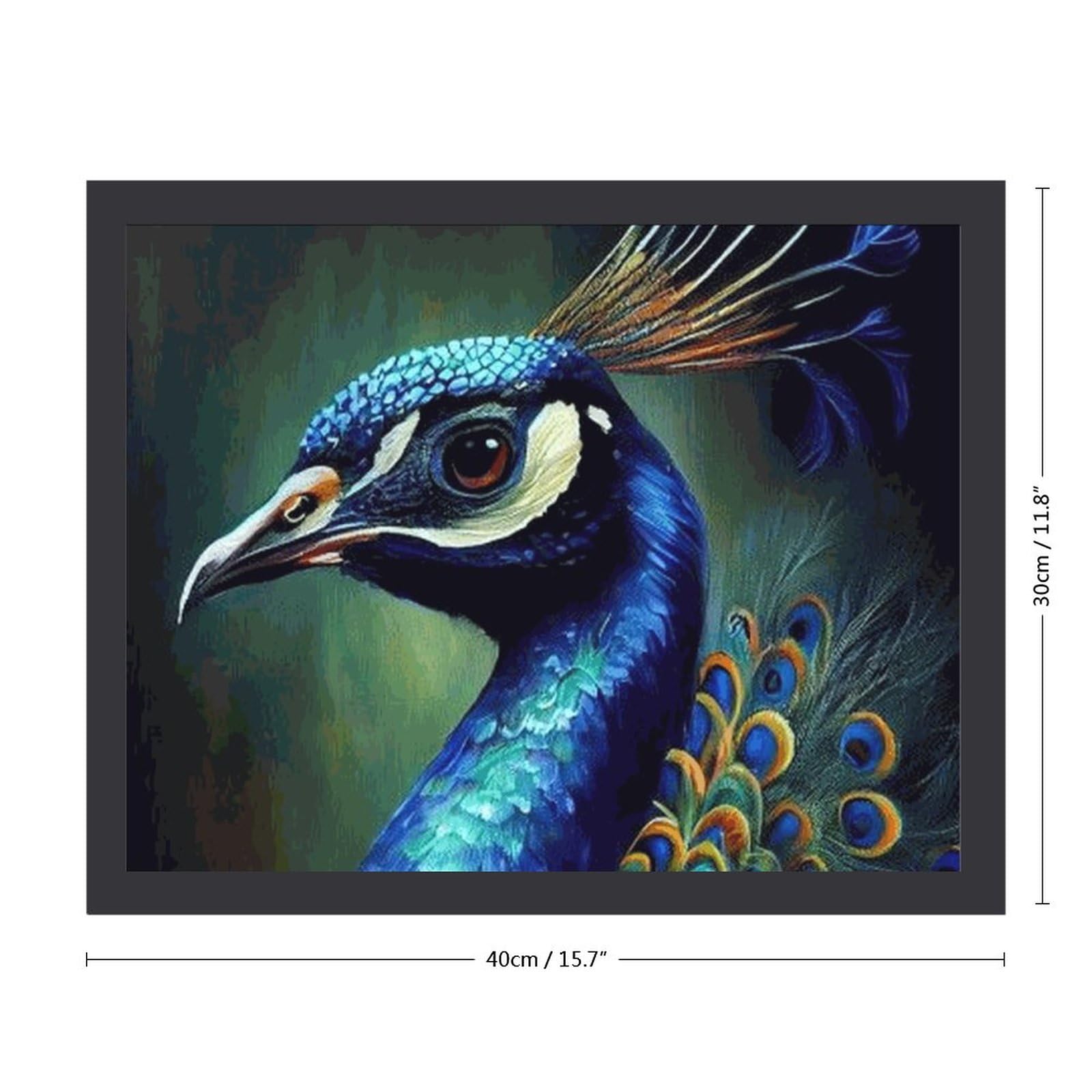 Amazon.co.jp: 孔雀の絵 絵画 絵 動物の油絵 アートパネル ポスター