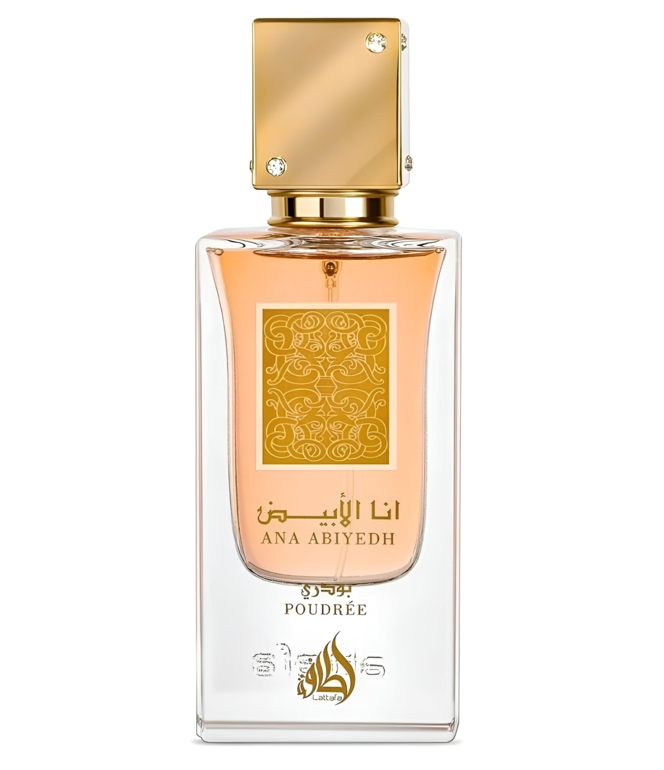 Amazon.com : Lattafa Ana Abiyedh Poudree for Women Eau de Parfum