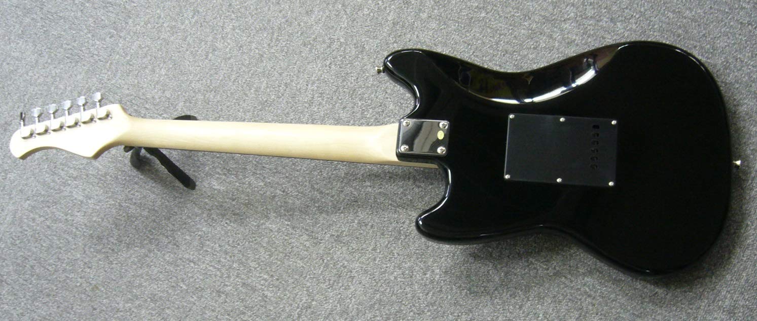 Amazon.co.jp: ワンランク上のエントリー・モデル｜Bacchus BMS-SH/R