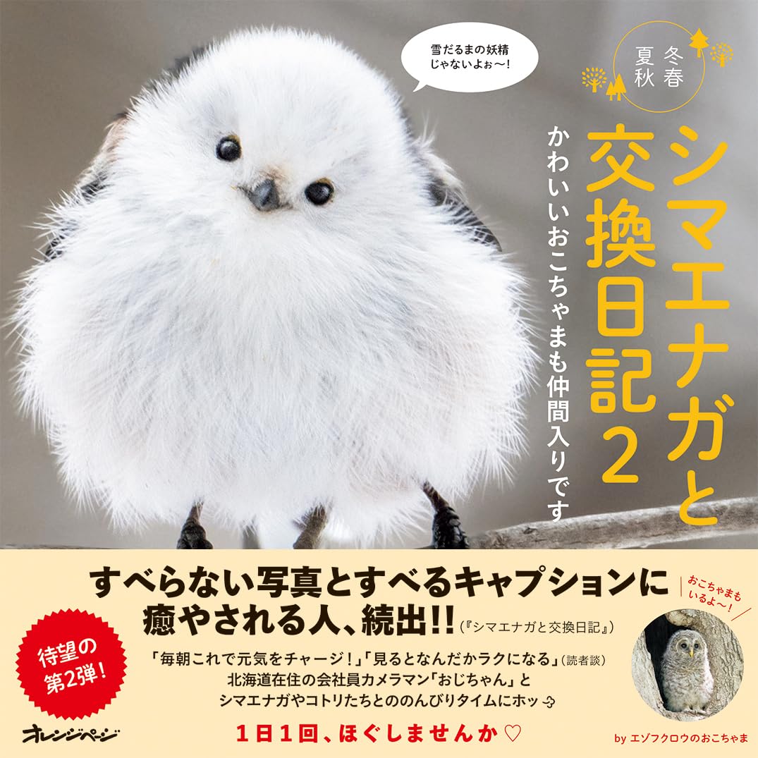 シマエナガと交換日記2 かわいいおこちゃまも仲間入りです