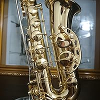 Amazon | SUNRISE SOUND HOUSE サンライズサウンドハウス ミニチュア