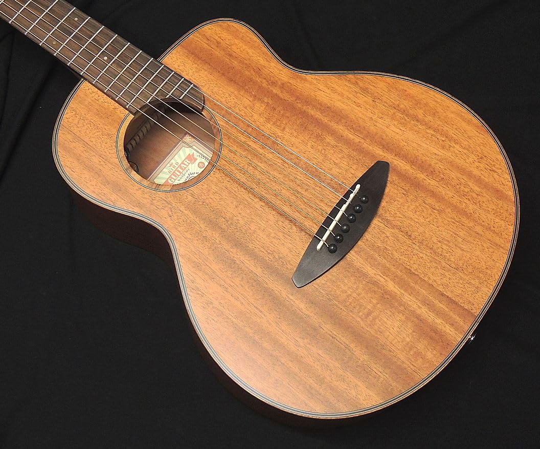 Amazon | aNueNue Bird Guitar aNN-M20E Solid Mahogany Top