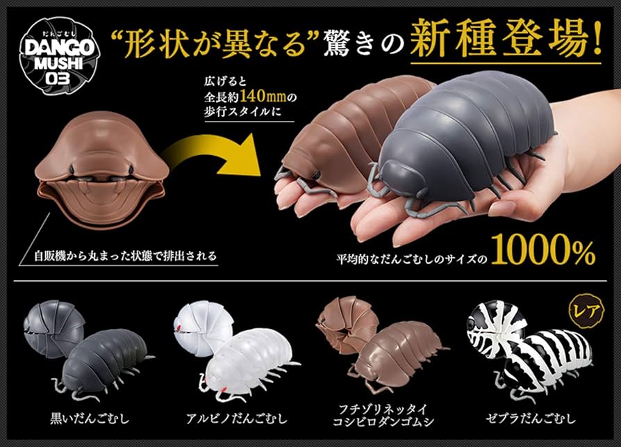 Amazon | だんごむし03 フチゾリネッタイコシビロダンゴムシ編 全4種