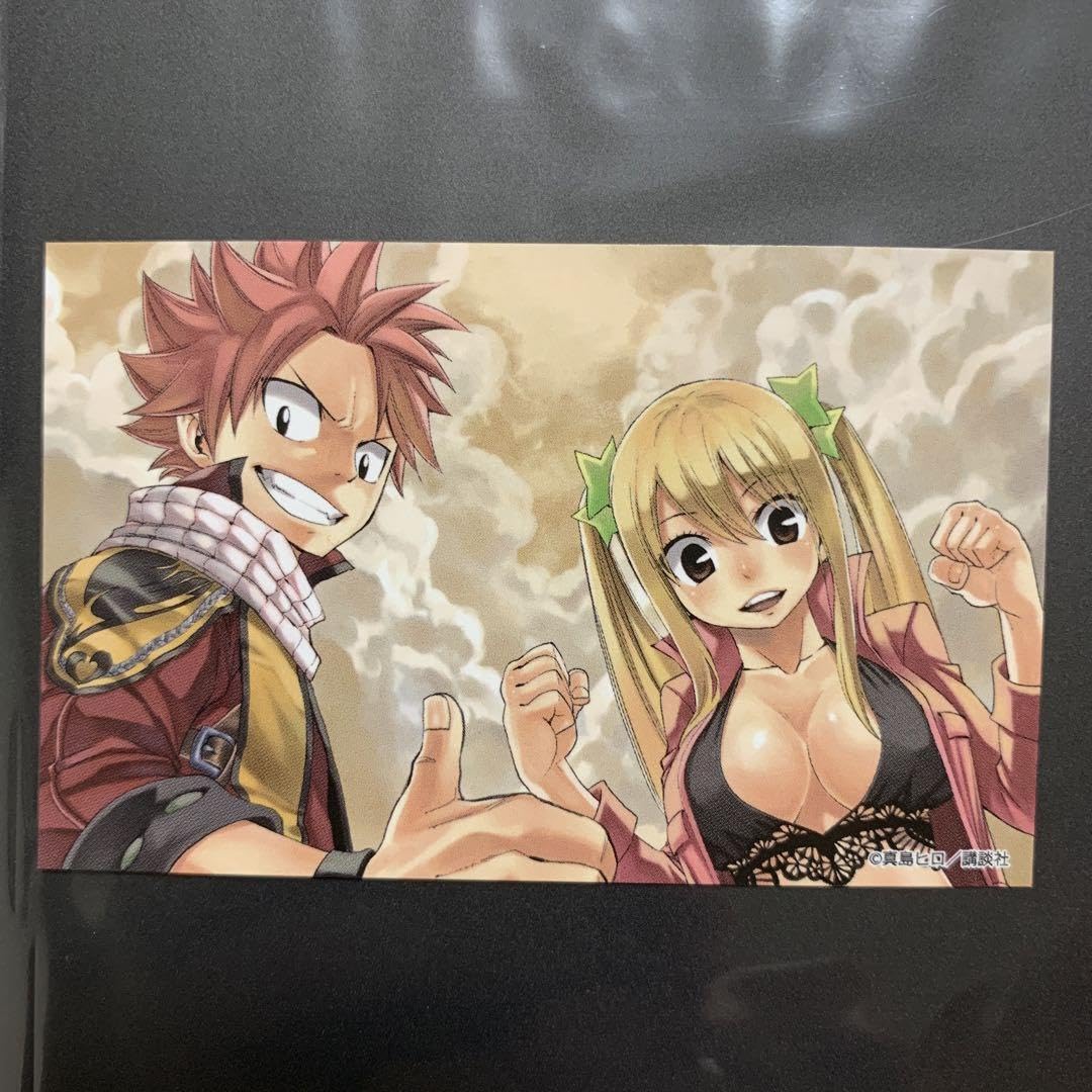 Amazon.co.jp: フェアリーテイル ナツ ルーシィ イラストカード : おもちゃ