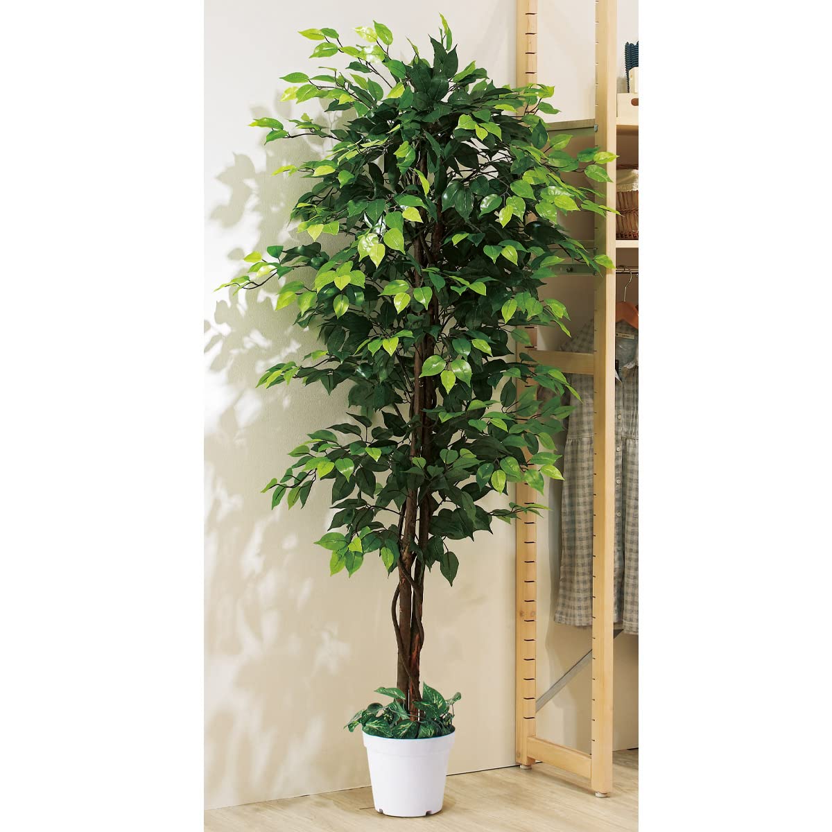 Amazon｜フェイクグリーン ベンジャミングリーン 180cm 1台 【 観葉