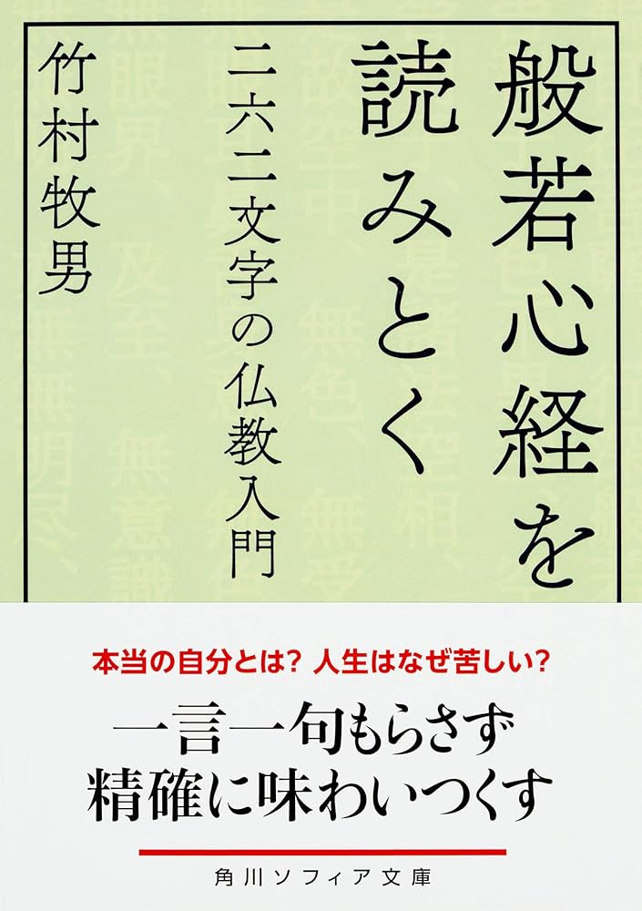 般若心経を読みとく 二六二文字の仏教入門 (角川ソフィア文庫) | 竹村