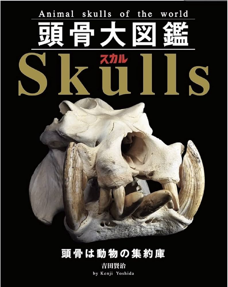 頭骨大図鑑 (オールカラー) | 吉田賢治 |本 | 通販 | Amazon