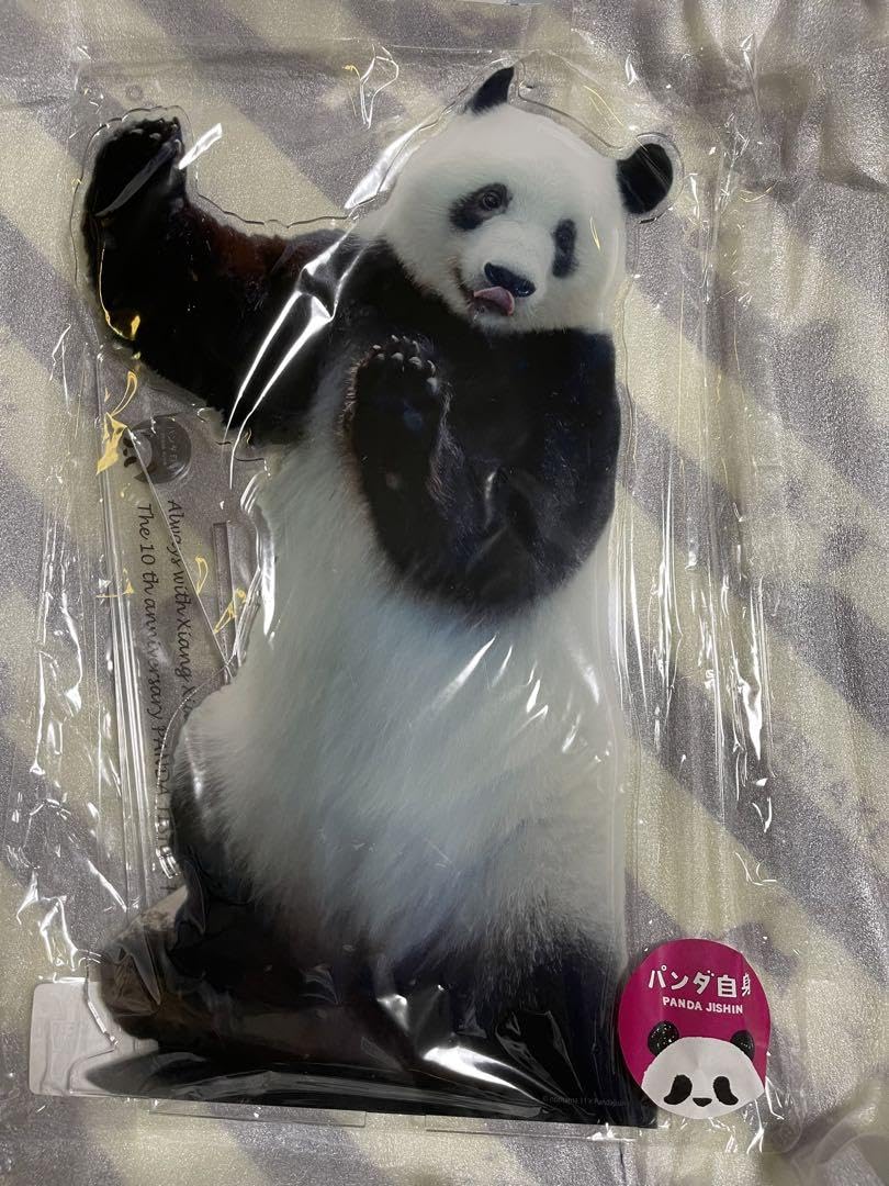 Amazon.co.jp: パンダ自身フェス限定 ハイタッチシャンシャン BIG