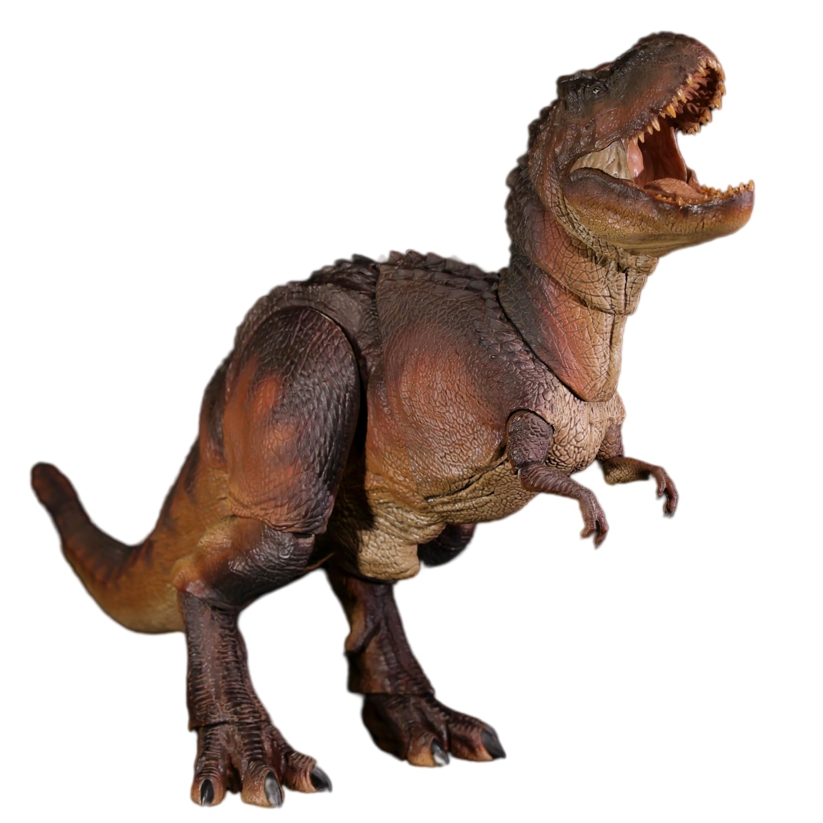 Amazon.co.jp: BACALYSO | Nanmu 本心楠改 可動シリーズ2.0 Rex V-Rex