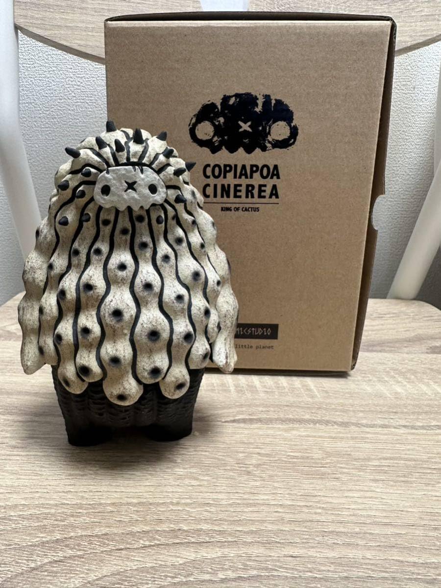 copiapoa prince robinceramicstudio 羅本製所 【公式通販】