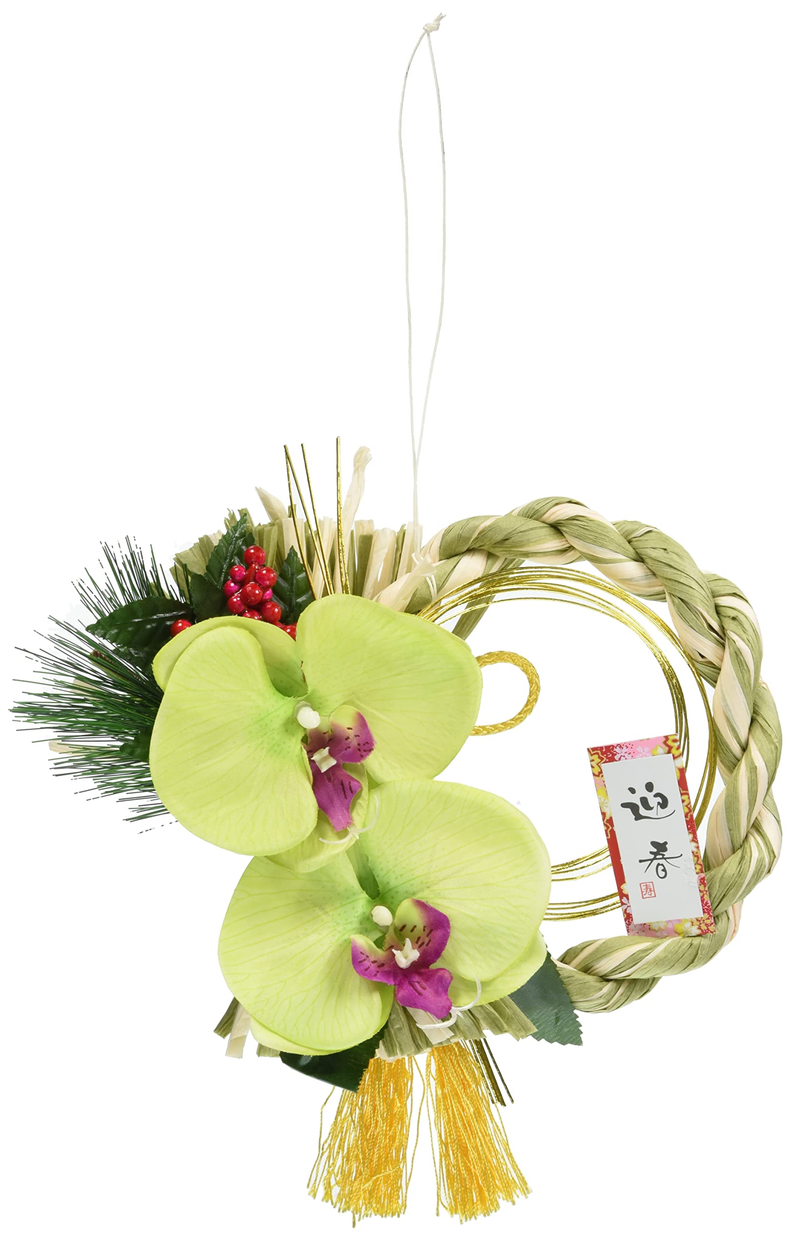 Amazon | 秀〆 しめ縄 おしゃれ 正月飾り モダンリース (胡蝶蘭) 緑