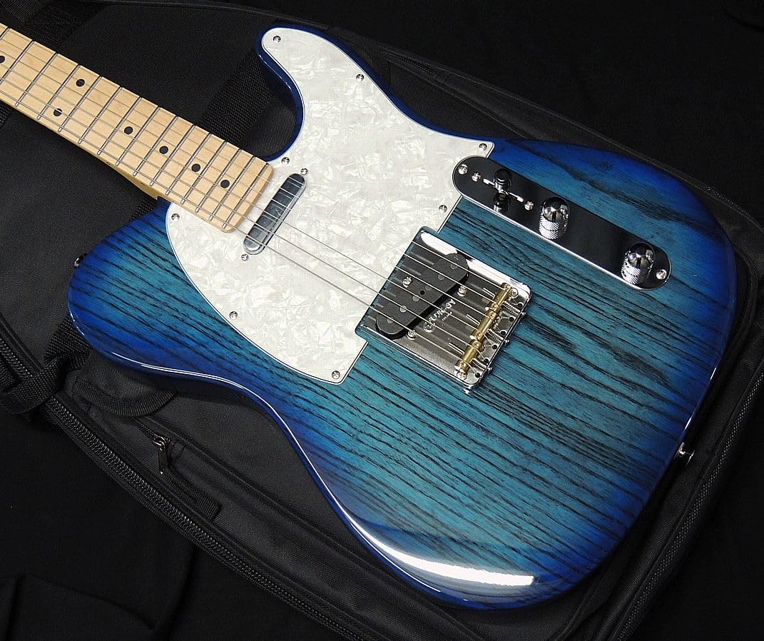 Amazon | Fujigen フジゲン FGN FUJIGEN NTE10MAH SBB Neo Classic