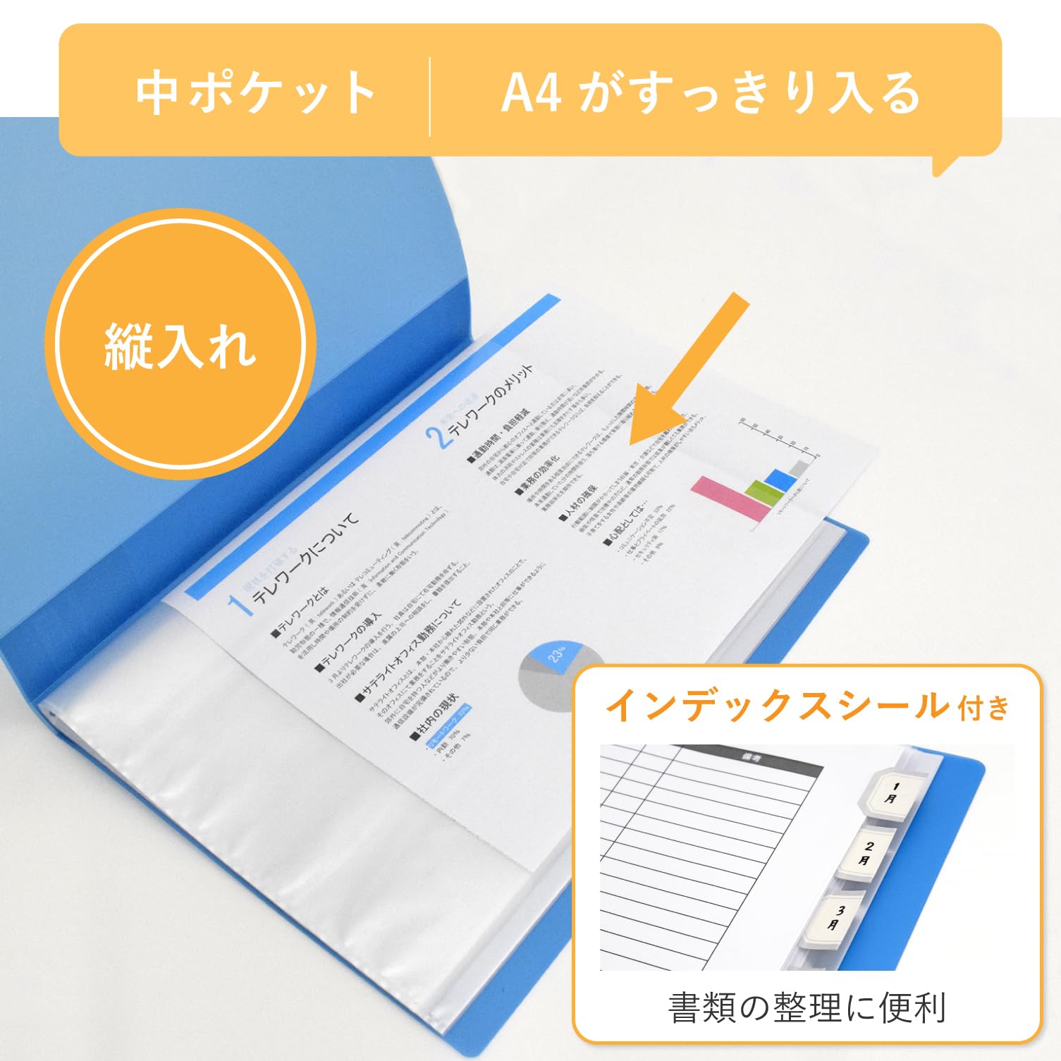 Amazon.co.jp: サクラクレパス ファイル クリアファイル A4 縦 20