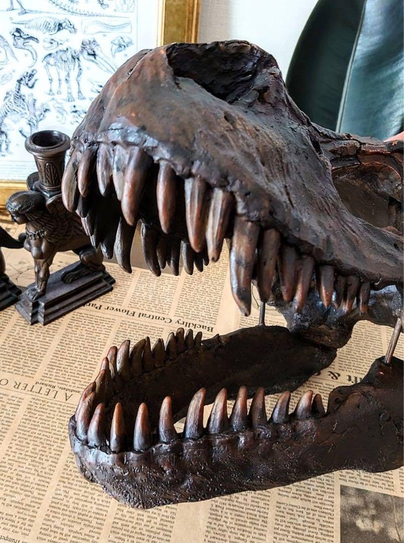 Amazon.co.jp: ティラノサウルス インテリアオブジェ 雑貨 置物 恐竜の