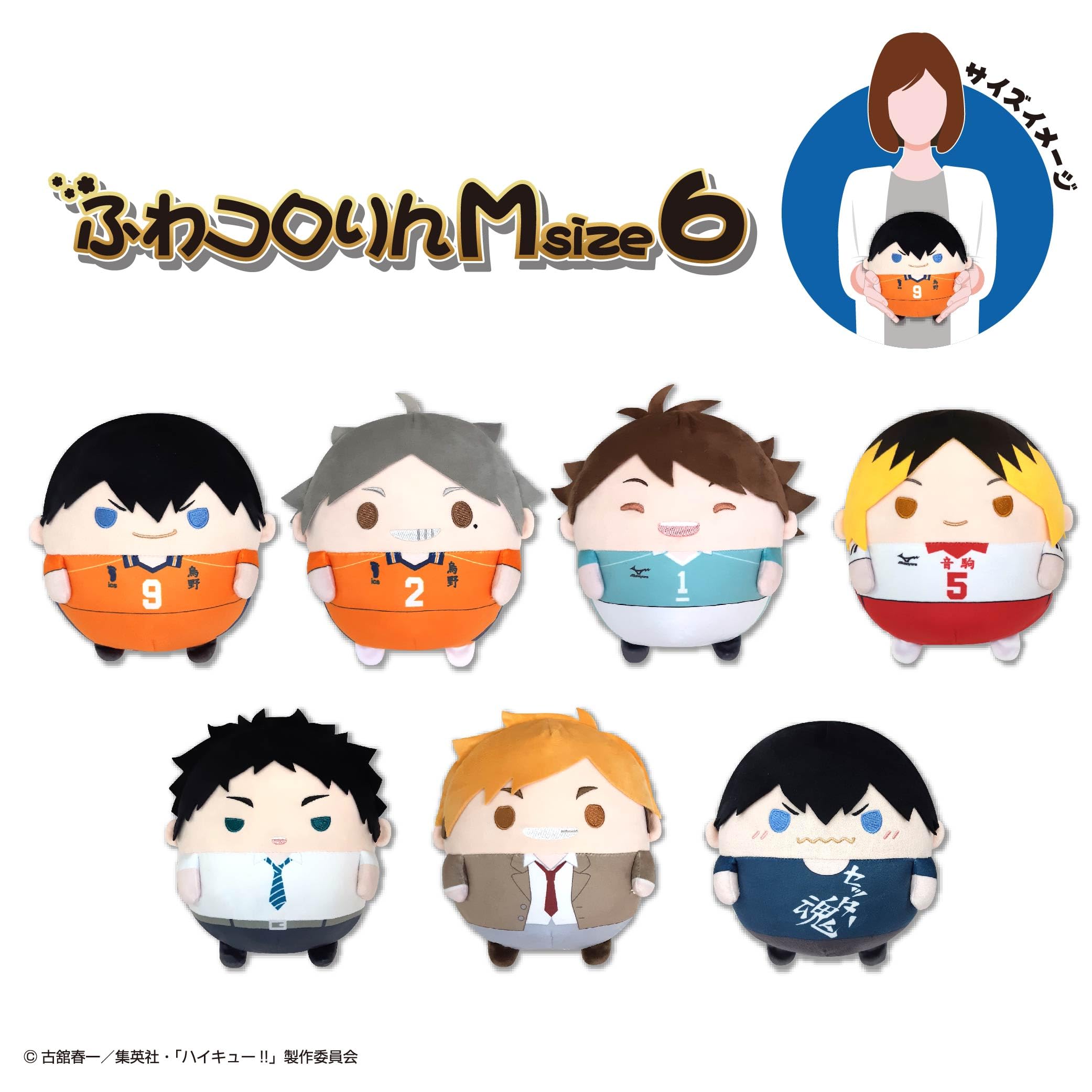 Amazon.co.jp: ハイキュー!! ふわコロりんMsize6 G：影山 飛雄（T