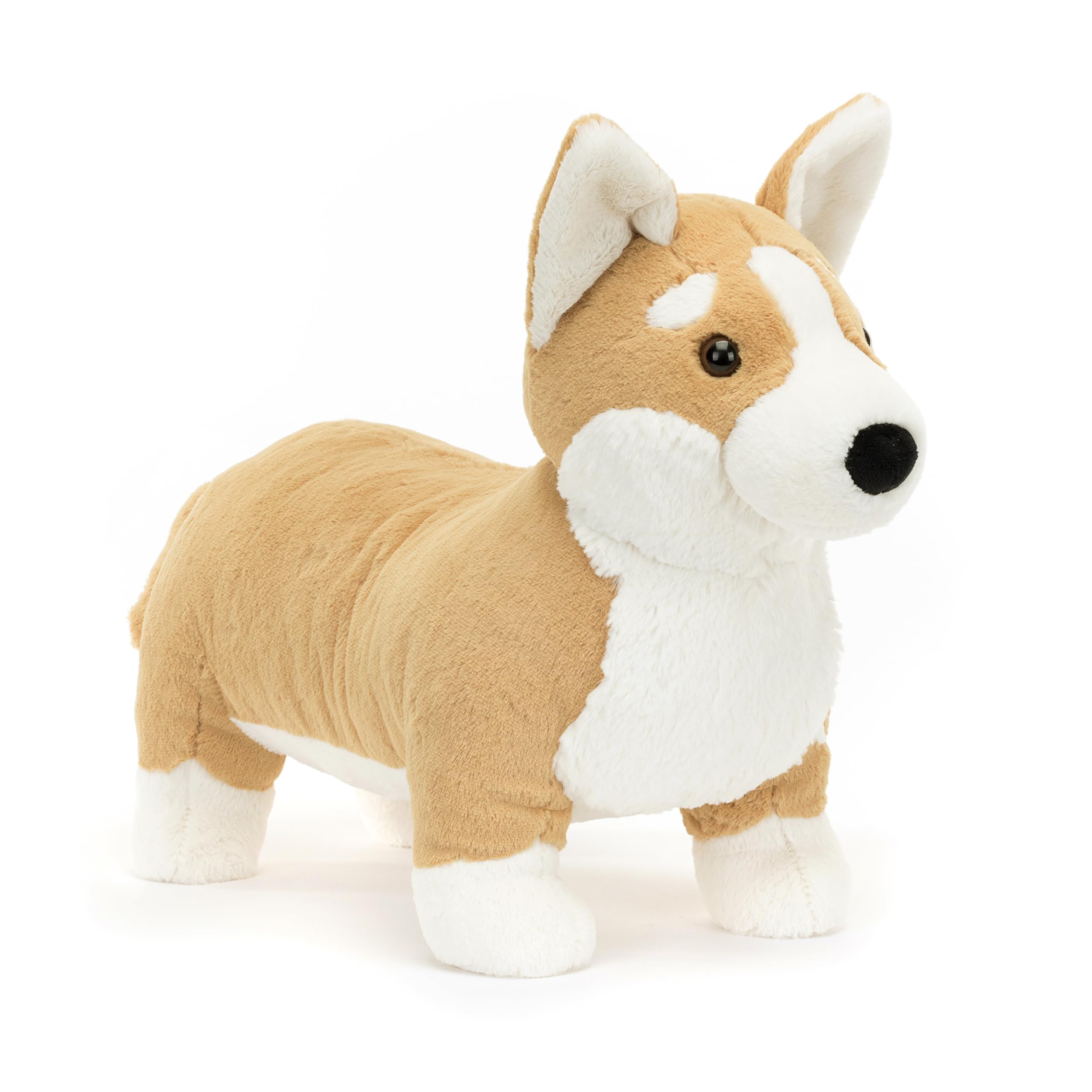Amazon.co.jp: Jellycat ベティ・コーギー 犬 ぬいぐるみ 大きい 13.5