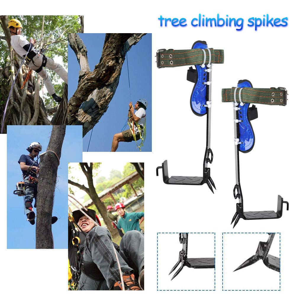 Amazon.co.jp: 木登り器 木登り道具 、ツリークライミングツール、滑り