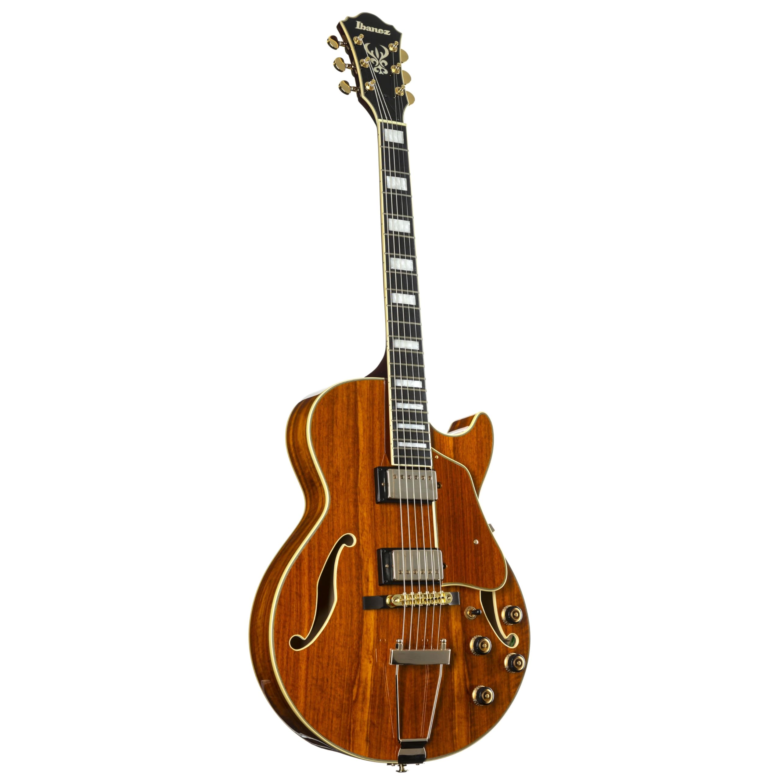 Amazon.com: Ibanez Artcore Expressionist AG95K Electric Guitar