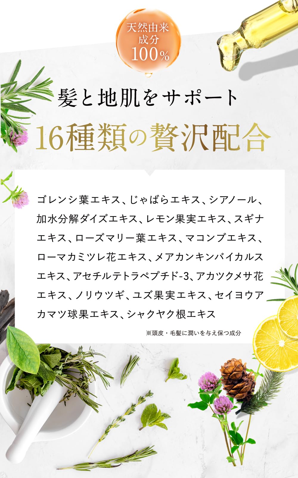 Amazon | ノアルフレ 生 アロマ コラーゲン シャンプー 290ml詰替え用