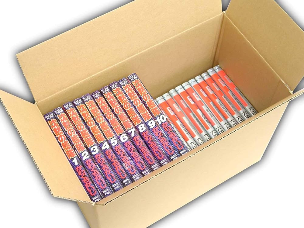 Amazon.co.jp: VillageBox 段ボール 100サイズ 青年コミック40冊用 30