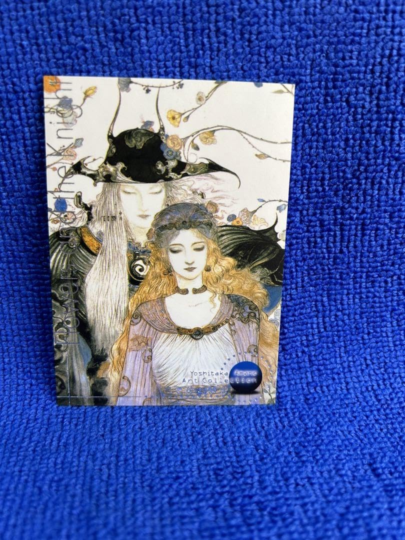 天野喜孝花と騎士