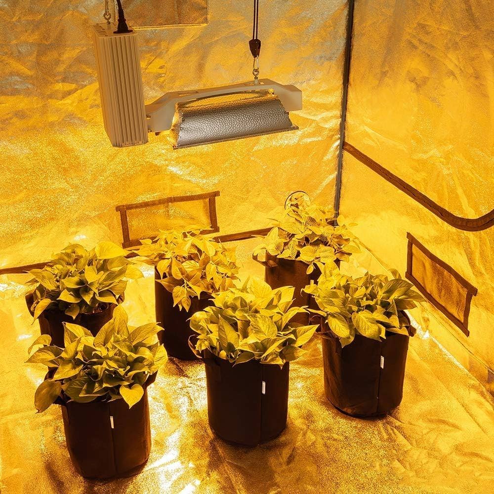 Amazon.co.jp: SMARUP グロウテント80*80*160cm 600D水耕性マイラー