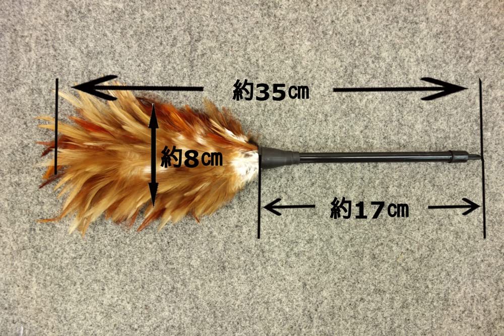 Amazon | お手入れセット プラ柄 毛バタキ 白手袋セット ひな人形用 五