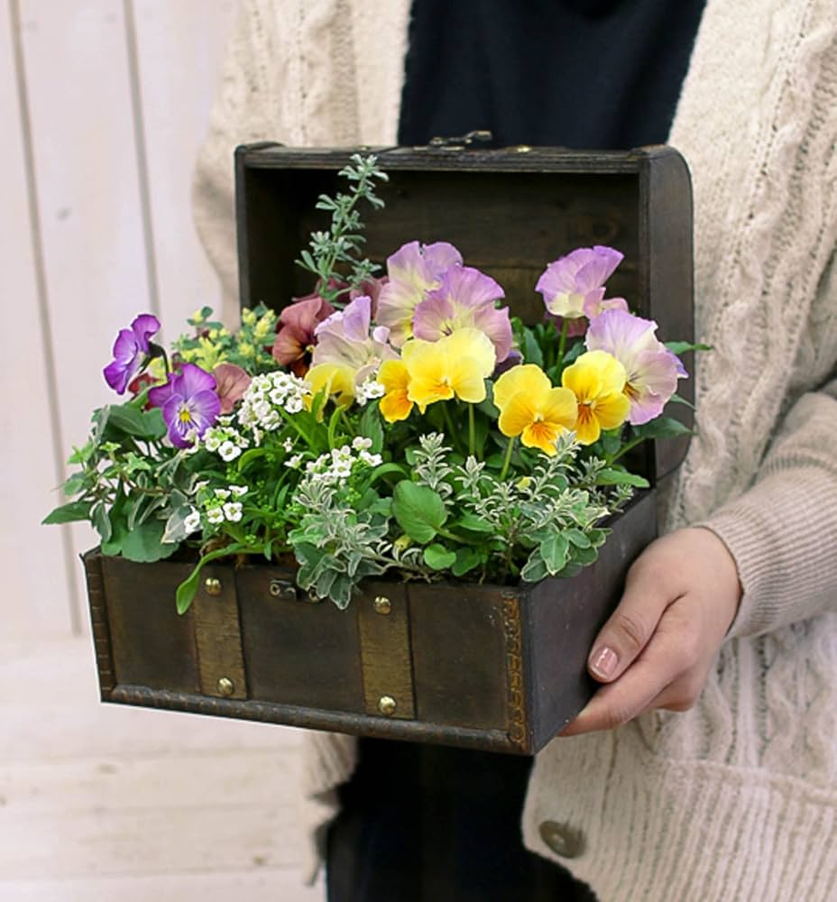 Amazon.co.jp: 「おまかせプレミア寄せ植え in トレジャーBOX～Sサイズ