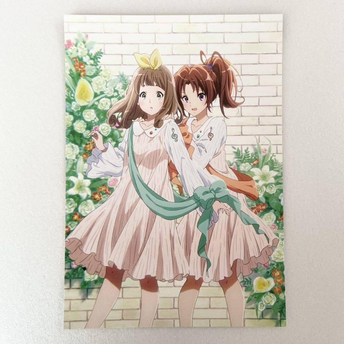 Amazon.co.jp: 響け！ユーフォニアム 誓いのフィナーレ 京アニ