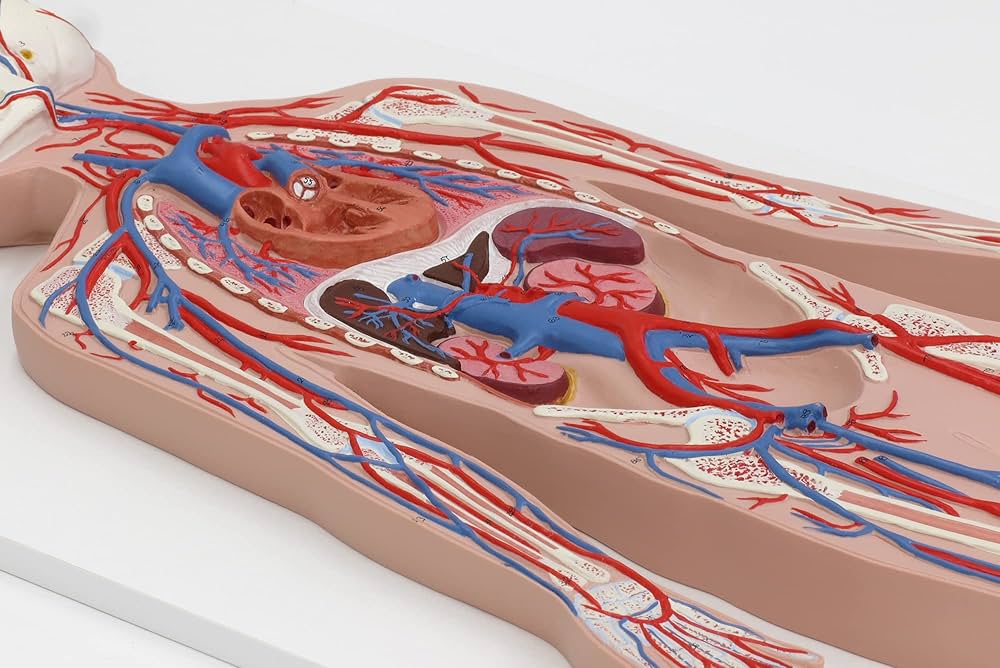 71jGqSKpI3L._AC_UF1000,