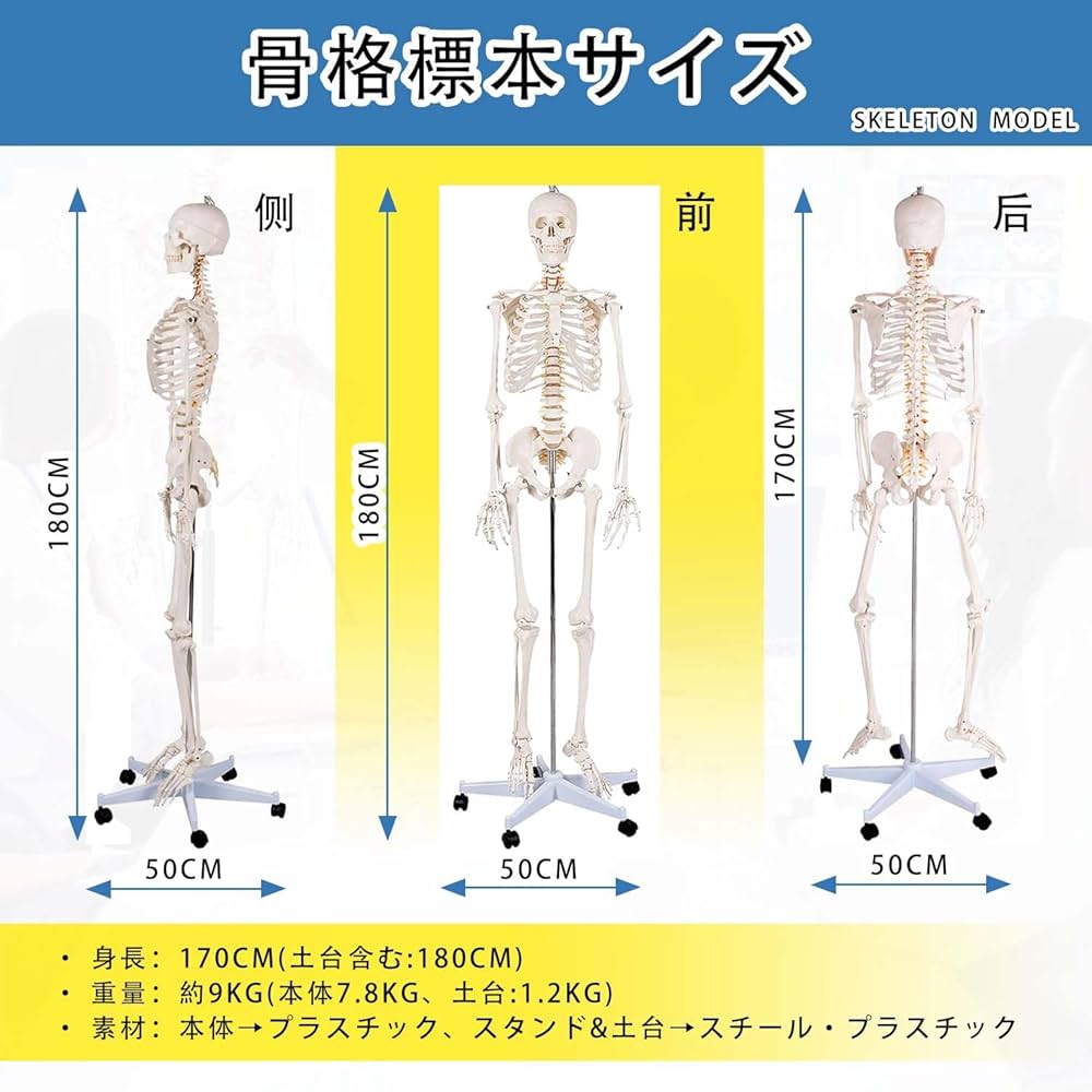 71jICMghBLL._AC_UF1000,