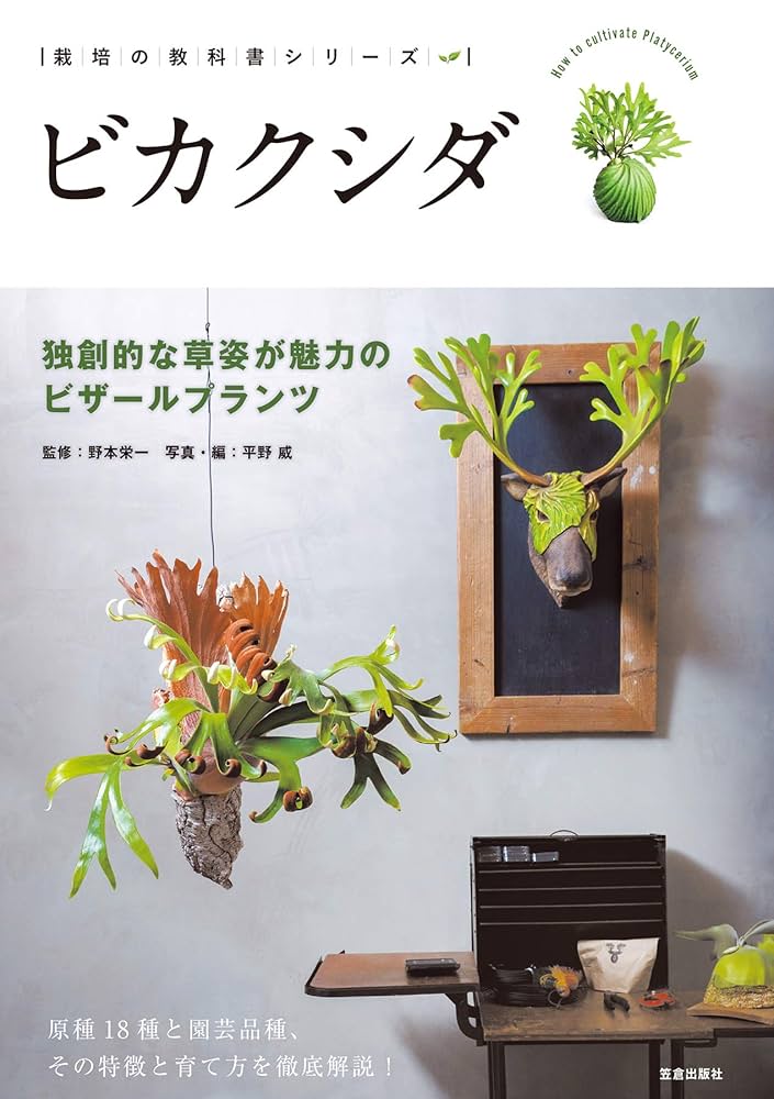 Amazon.co.jp: ビカクシダ (サクラBooks) 電子書籍: 野本栄一: Kindle