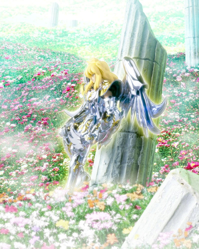 Amazon.co.jp: 聖闘士聖衣神話 キグナス氷河 神聖衣 : ホビー