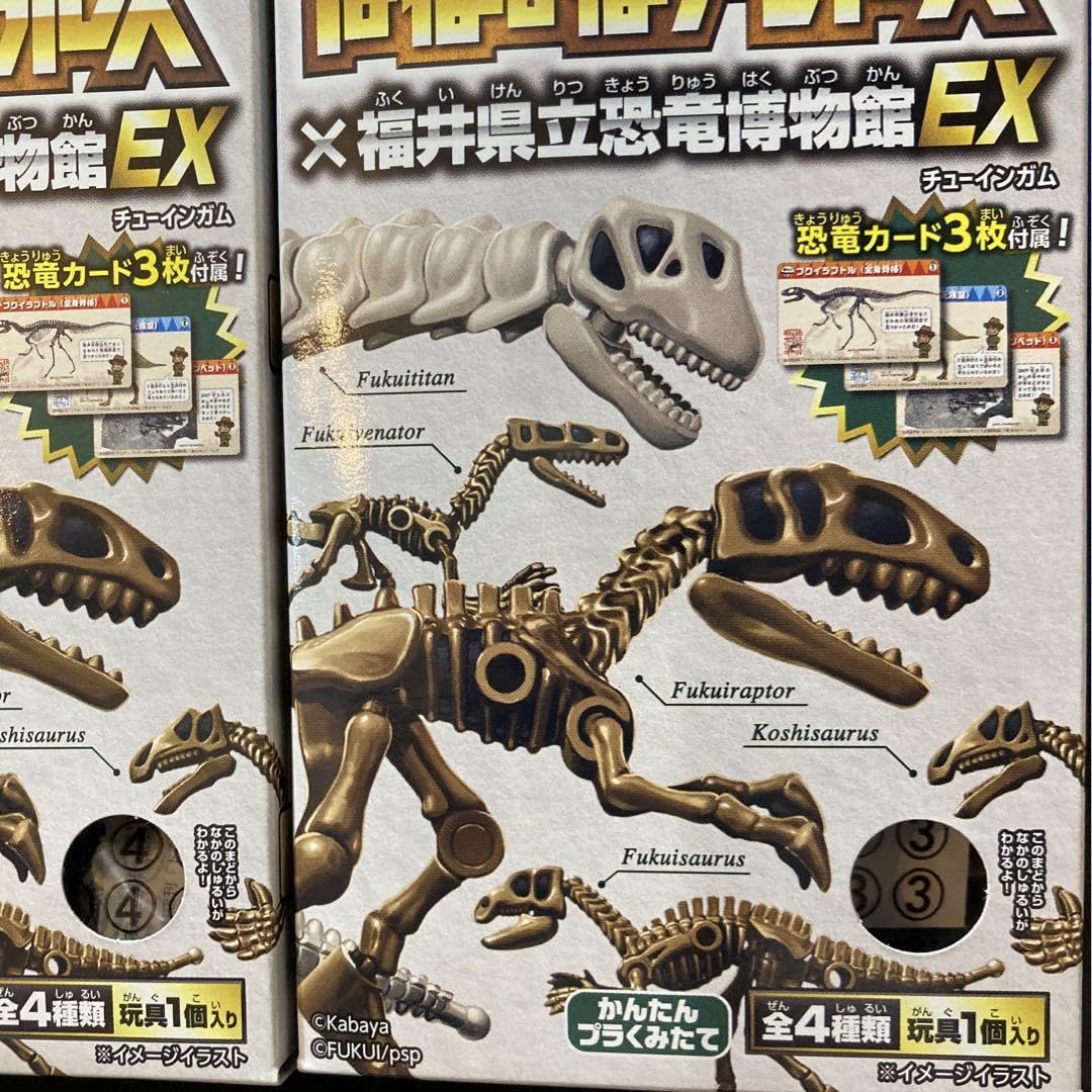 Amazon.co.jp: ほねほねザウルス 福井県立恐竜博物館EX コンプリート