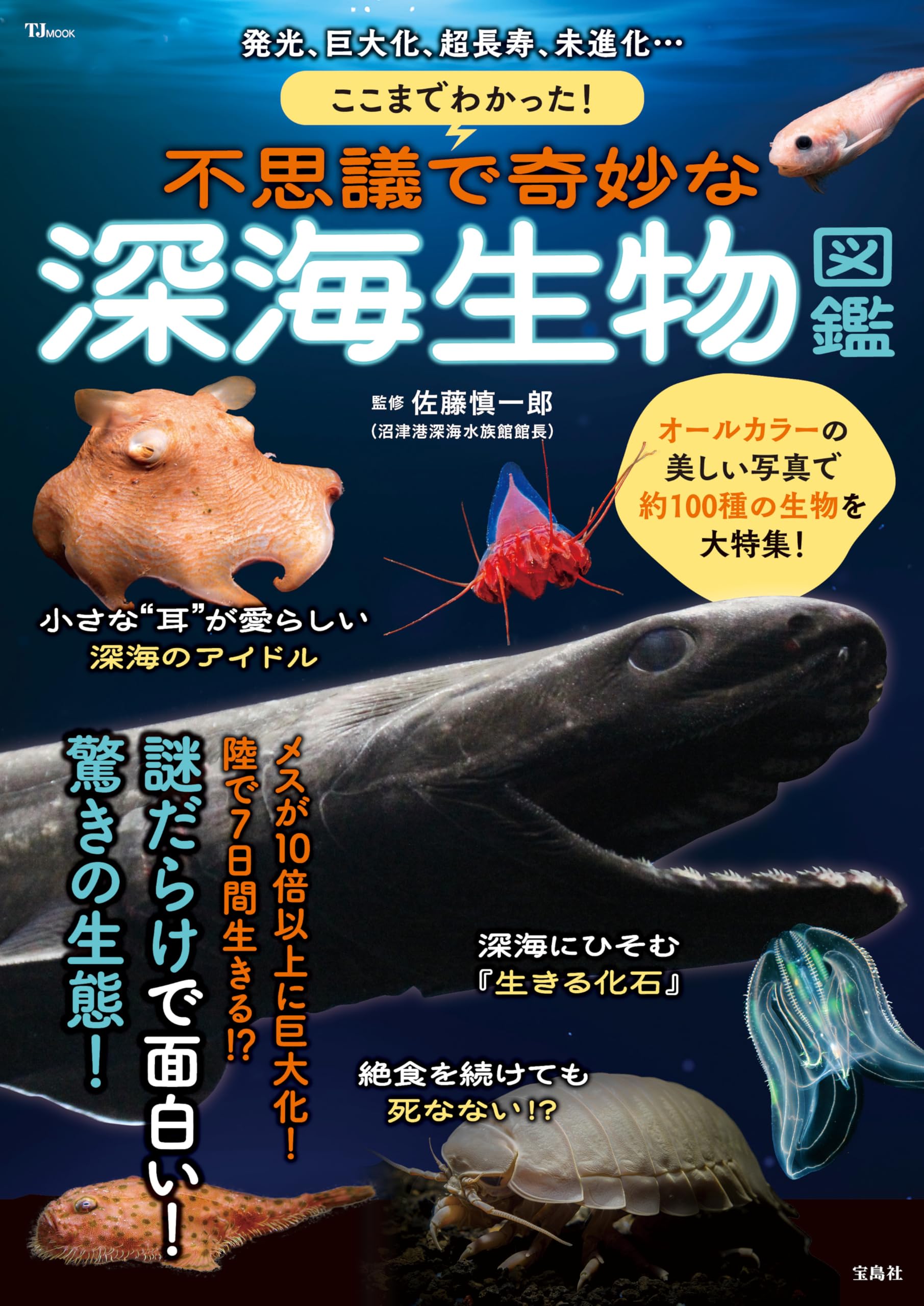 Amazon.co.jp: ここまでわかった! 不思議で奇妙な深海生物図鑑 (TJMOOK