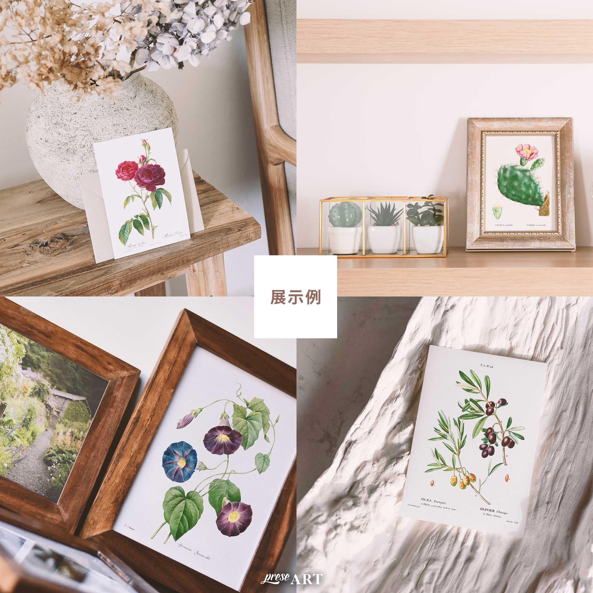 Amazon | ルドゥーテ ボタニカル ポストカード 5種類 5枚 スイートピー