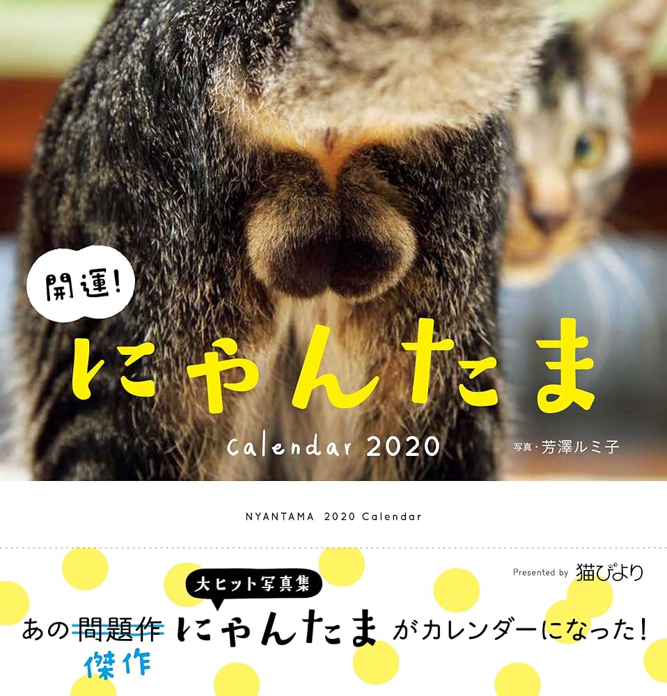 Amazon.co.jp: 2020カレンダー 開運! にゃんたまカレンダー : 芳澤