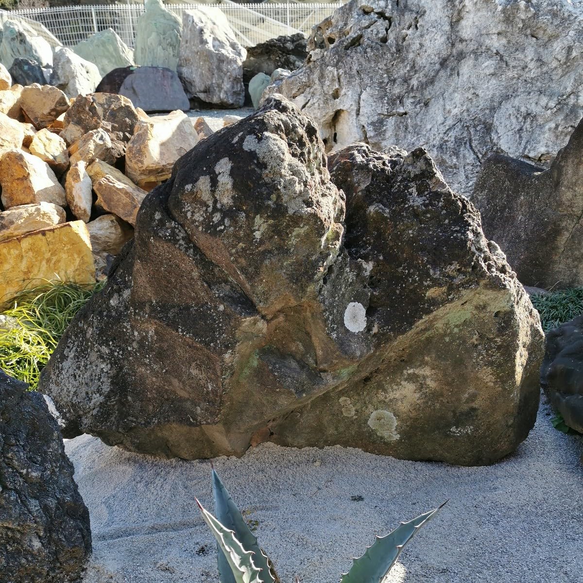 Amazon.co.jp: 鳥海石408キロ庭石鑑賞石石盆石水石灯籠庭坪庭盆栽