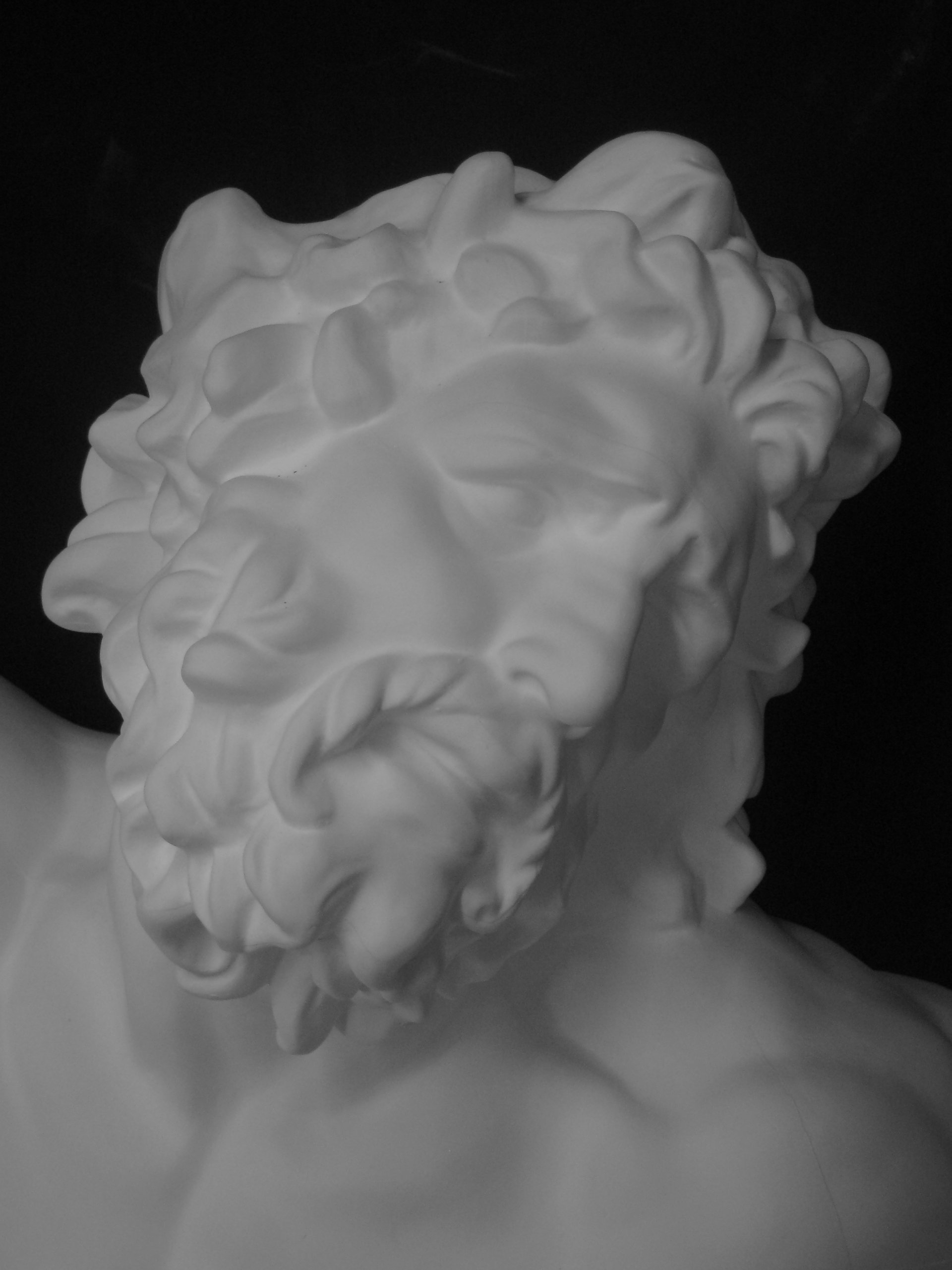 Amazon.co.jp: 石膏像 H－011 ラオコーン半身像 H．85cm