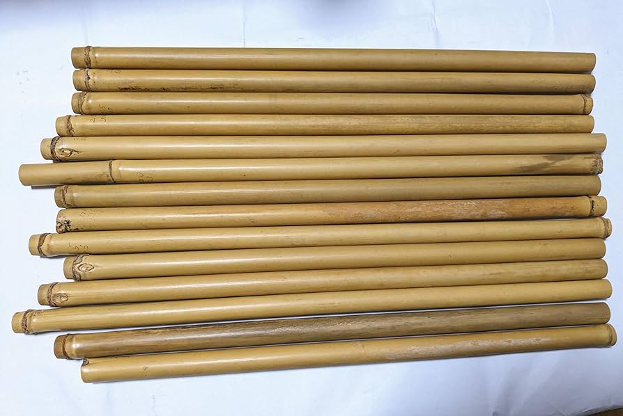 Amazon | ケーナ篠笛しのぶえ用竹材 女竹メダケめだけ 直径21.5〜22mm