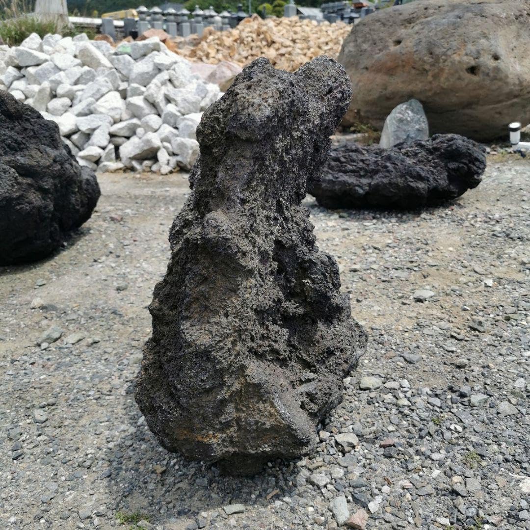 Amazon.co.jp: 富士 溶岩石 48キロ 庭石 鑑賞石 石 庭 ガーデニング