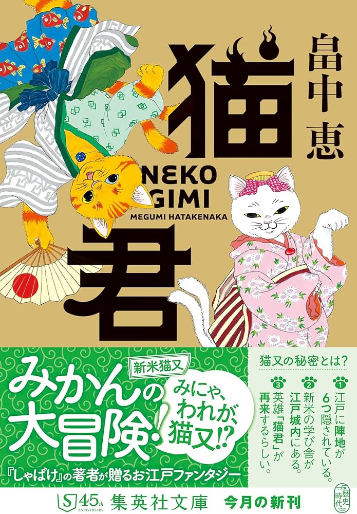 81COAHuuvBL._AC_UF1000,