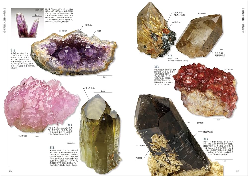 新版 鉱物分類図鑑 323: 産状、成因、見分けるポイントがよくわかる