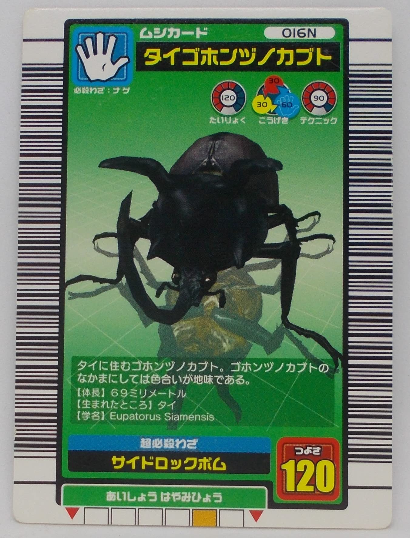 Amazon.co.jp: ムシキング 甲虫王者ムシキング ムシカード