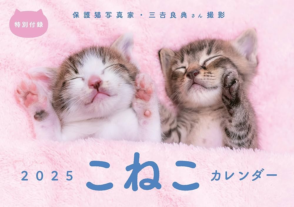 週刊女性 ねこ (別冊週刊女性) | 主婦と生活社 |本 | 通販 | Amazon